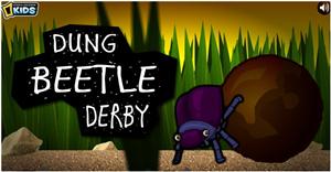 beetle 